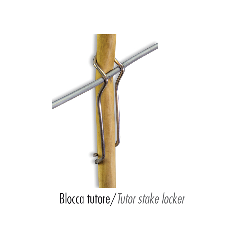 Tutor Stake Locker