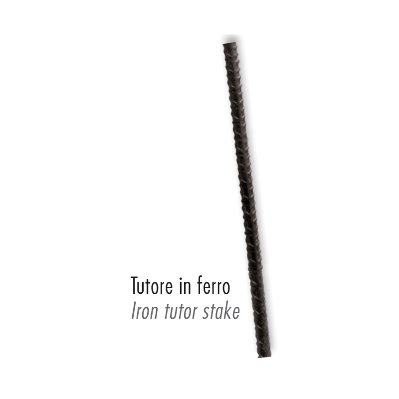 Iron Tutor Stake
