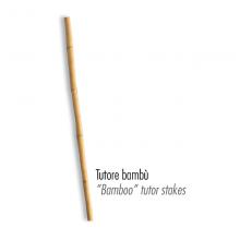 Bamboo stake